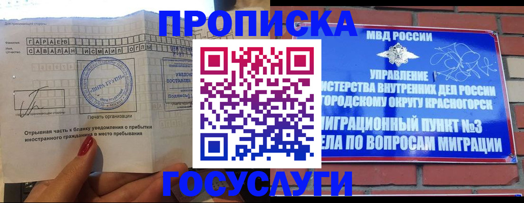 регистрация для дет. сада в Заринске